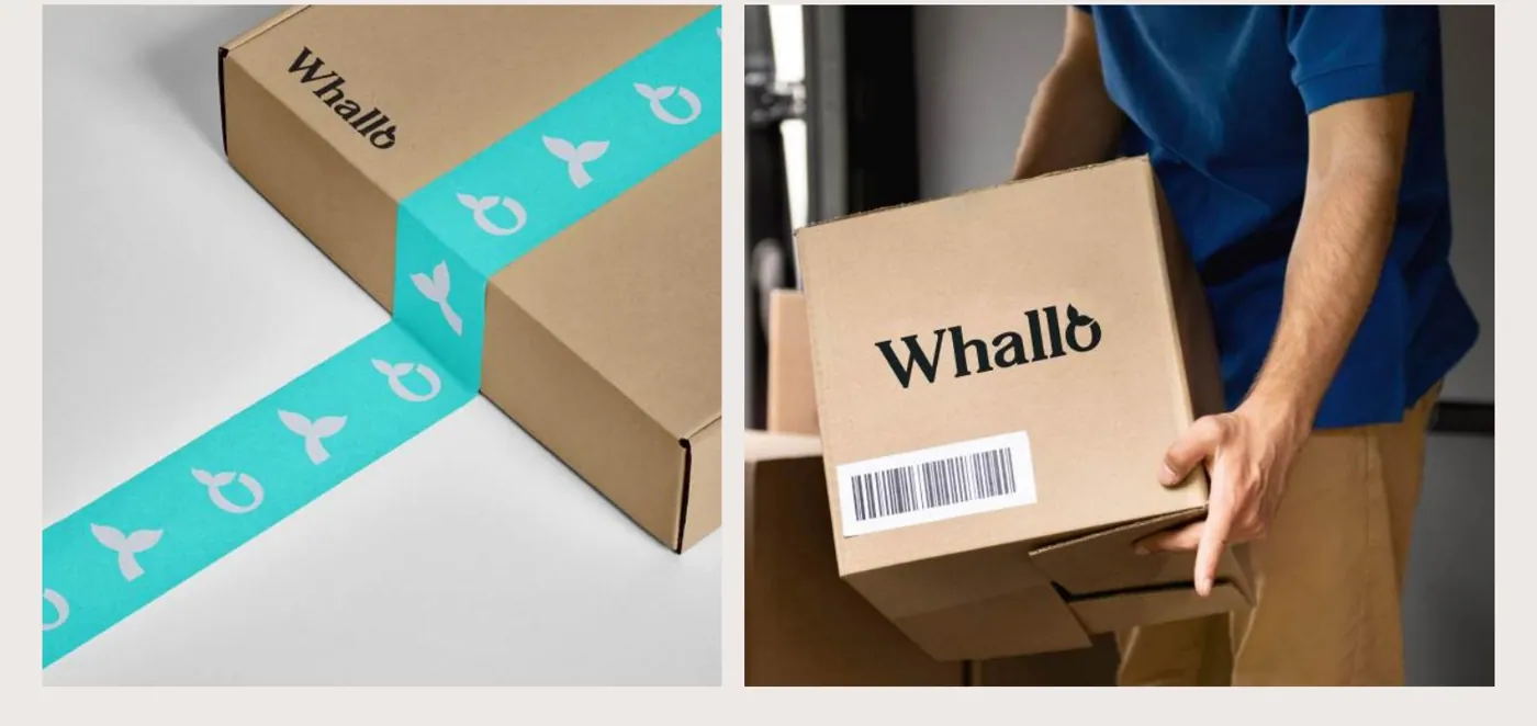 Whallo brand work, image 4