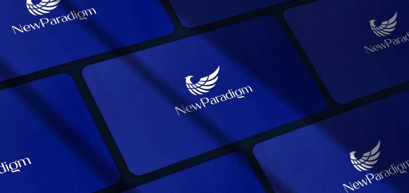 NewParadigm brand work, image 2