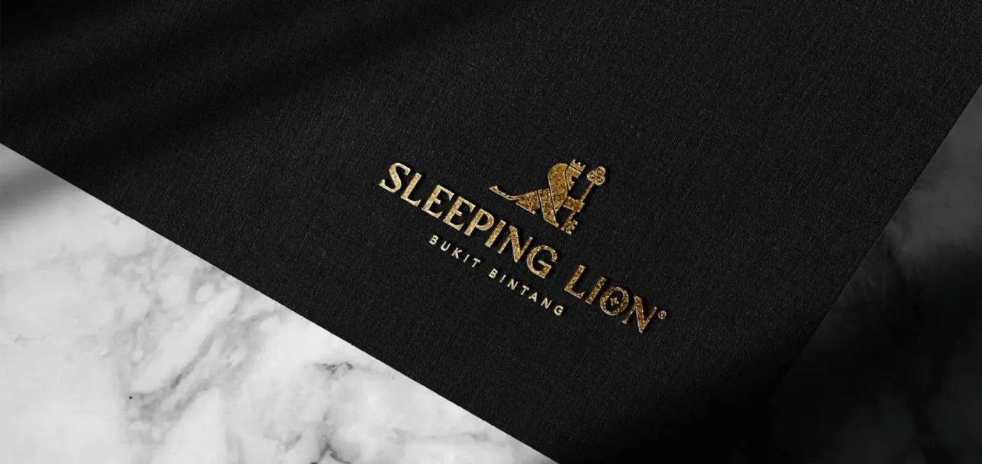 Sleeping Lion brand work, image 1