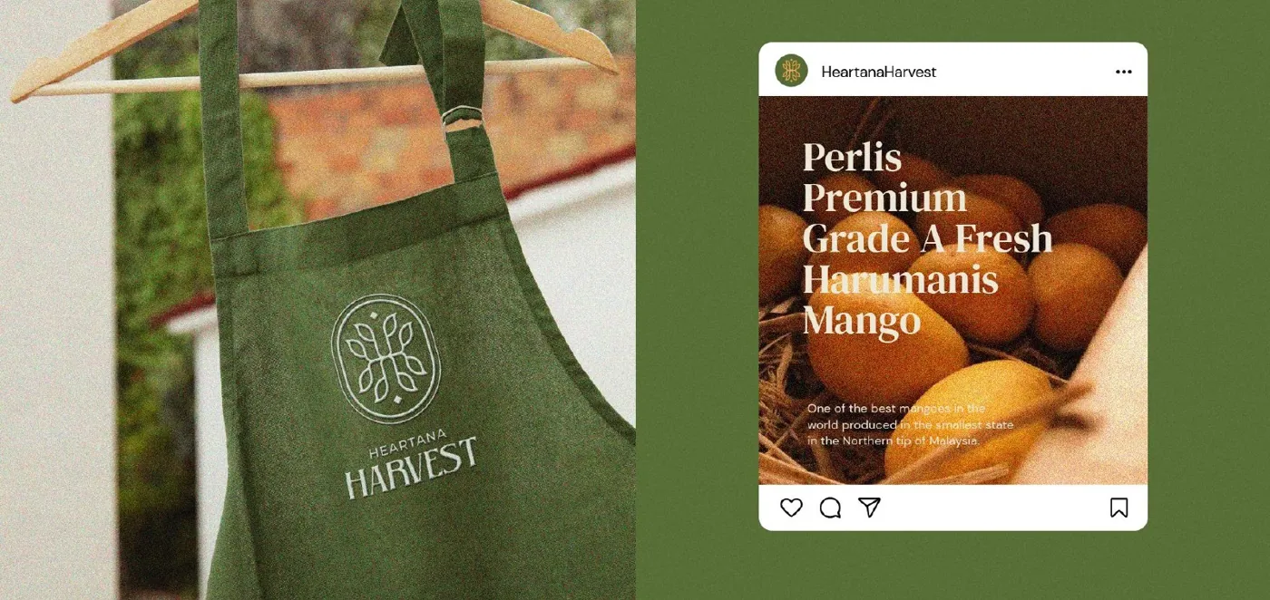 Heartana Harvest brand work, image 6