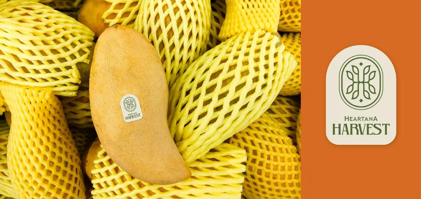 Heartana Harvest brand work, image 12
